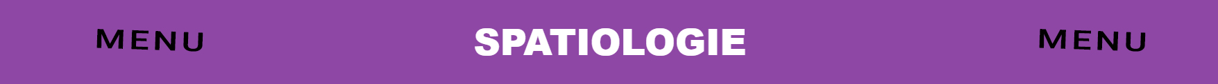 Menu-spatiologie.jpg